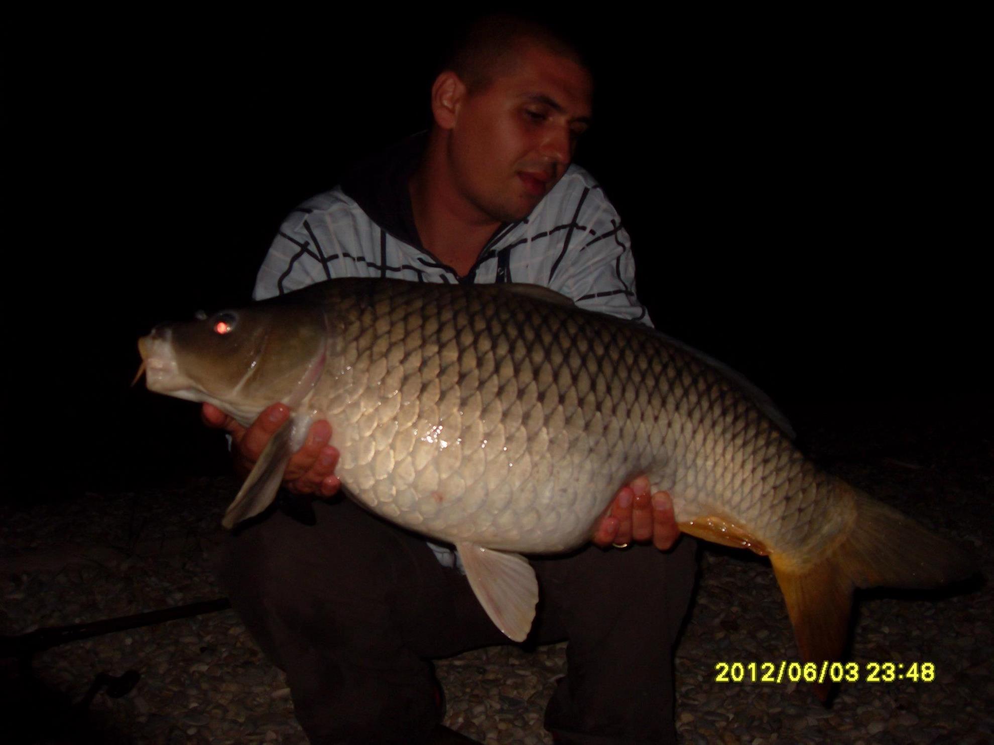 Crapturi - 4660562374683963685521294753822o.jpg